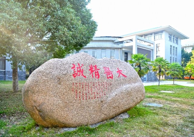 大医精诚石